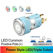 RGW Momentary common anode (+)