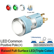 RGW Momentary common anode (+)
