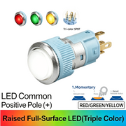 RGY Momentary common anode (+)
