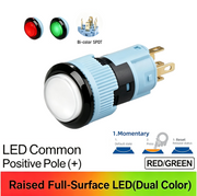 RG Momentary common anode (+)