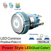 RB Momentary common anode (+)