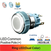 RB Maintained common anode (+)