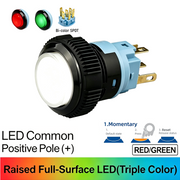 RG Momentary common anode (+)