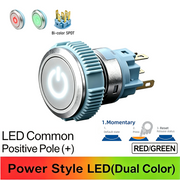 RG Momentary common anode (+)