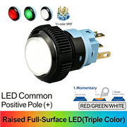 RGW Momentary common anode (+)
