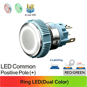 RG Maintained common anode (+)