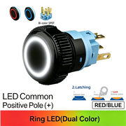 RB Maintained common anode (+)