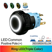 RGY Maintained common anode (+)