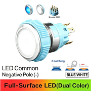 BW DPDT Maintained common cathode (-)