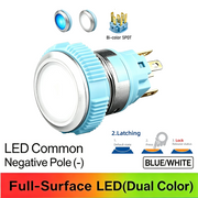 BW SPDT Maintained common cathode (-)