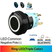 BW DPDT Maintained common cathode (-)