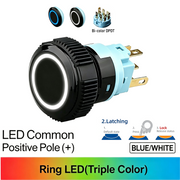 BW DPDT Maintained common anode (+)
