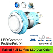 BW DPDT Maintained common anode (+)