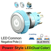 BW DPDT Maintained common cathode (-)