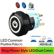 RB DPDT Momentary common anode (+)