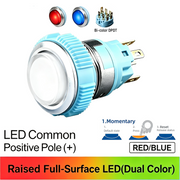 RB DPDT Momentary common anode (+)
