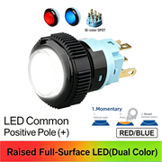 RB DPDT Momentary common anode (+)