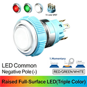 RGW DPDT Momentary common cathode (-)