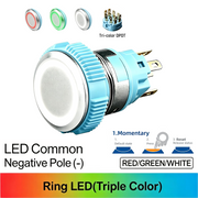 RGW DPDT Momentary common cathode (-)