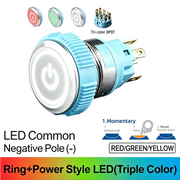 RGW DPDT Momentary common cathode (-)