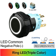 RGW DPDT Maintained common cathode (-)