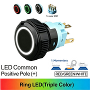 RGW DPDT Momentary common anode (+)