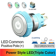 RGW DPDT Maintained common anode (+)