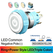 RGY DPDT Momentary common cathode (-)