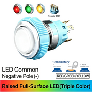 RGY DPDT Momentary common cathode (-)