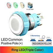 RGY DPDT Momentary common anode (+)