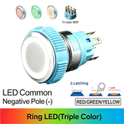 RGY DPDT Maintained common cathode (-)
