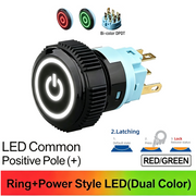 RG DPDT Maintained common anode (+)