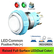 RG DPDT Momentary common anode (+)