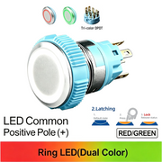 RG DPDT Maintained common anode (+)