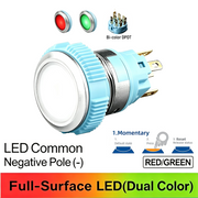 RG DPDT Momentary common cathode (-)