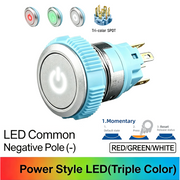 RGW SPDT Momentary common cathode (-)