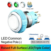 RGW SPDT Momentary common cathode (-)