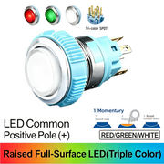 RGW SPDT Momentary common anode (+)