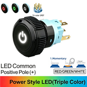 RGW SPDT Momentary common anode (+)