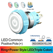 RGW SPDT Momentary common anode (+)