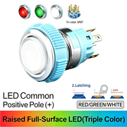 RGW SPDT Maintained common anode (+)