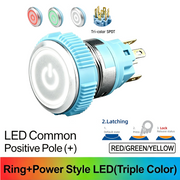 RGW SPDT Maintained common anode (+)