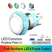 RGW DPDT Maintained common anode (+)