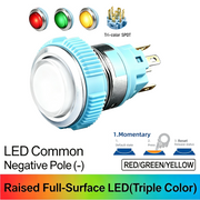 RGY SPDT Momentary common cathode (-)