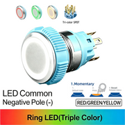 RGY SPDT Momentary common cathode (-)