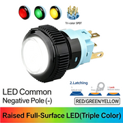 RGY SPDT Maintained common cathode (-)
