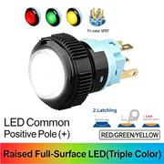 RGY SPDT Maintained common anode (+)