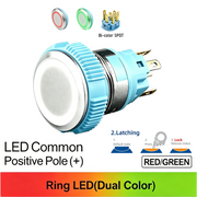RG SPDT Maintained common anode (+)