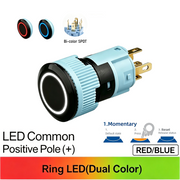 RB Momentary common anode (+)