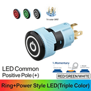 RGW Momentary common anode (+)